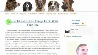 Video Web Site Review of BoredDogs