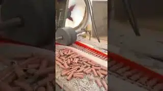 crackers manufacturing