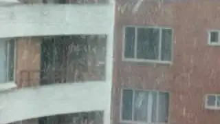 Blizzard - 5 February 2010
