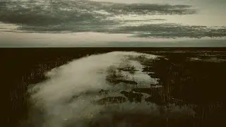 [nature sound] Frogs and Bugs in the Swamp ASMR / black screen_늪의 개구리와 벌레 ASMR / 검은화면