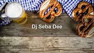 Dj Seba Dee - Zabavni mix 2025