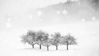 TV SCREEN RELAX ART TV WINTER LANDSCPE SNOWY SCENE#winter #tv #relaxing