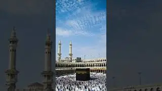 #saher