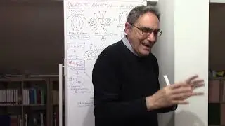 Momento magnetico e momento angolare