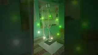 Human DNA working model