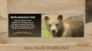 5 new things to do in the Brainerd Lakes Area 2015