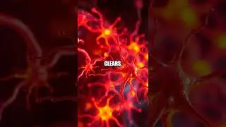The Nightly Brain Reset and Evolution Sparks