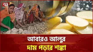 আবারও আলুর দাম পড়ার শঙ্কা; চাহিদা নেই রপ্তানি-শিল্পে | Potato | Ekattor TV