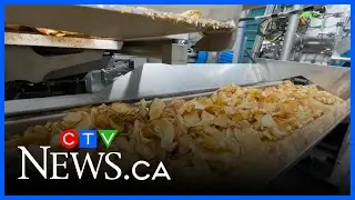 Covered Bridge Chips release new flavour