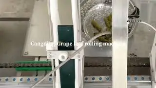 Grape Leaf Rolling Machine#foodmachine 