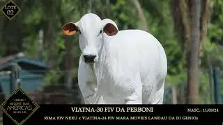 LOTE 02   VIATNA 30 FIV DA PERBONI