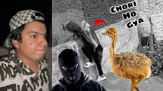 Ostrich Baby Chori Ho Gya 😭 
