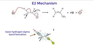 E2 Mechanism