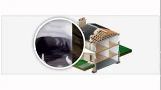 Dry Rot Information and Advice from the Dry Rot Specialists
