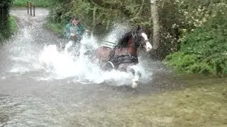 Water, bridges and grass - driving trials training with Jack.