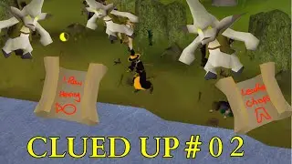 OSRS Snowflake Ironman - Clued Up - EP 02 [500 Implings]