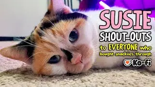 Susie Does Individual Thank Yous for All Her Snackiies Supporters (She's So Cute)