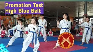 Taekwondo High Blue Belt Promotion Test