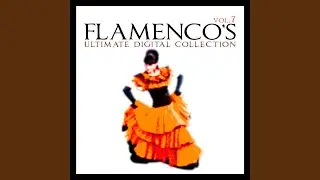Nostalgia Flamenca