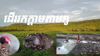 ដើររកក្ដាមតាមអូរCatching crabs through natural streams#RathaBL