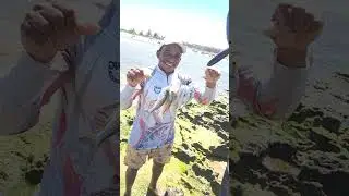 olhar a #pescaria de meu #amigo #pesca #pesca #robalo #xareu #mar #rockfish #praia #robaloflecha