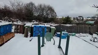 360 Allotment view in the snow. / Snow storm 