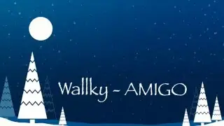 Wallky - Amigo