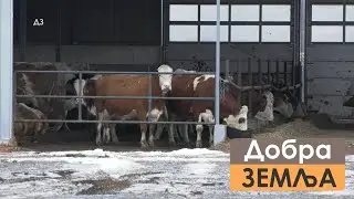 Dobra zemlja za 18.01.2026.