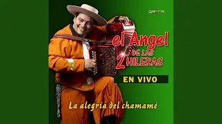 Enganchados: El Gaucho Berenjena / El Sargento Sapo (En Vivo)