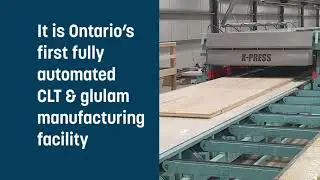 Element 5 Ontario CLT Plant