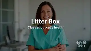 Signs Your Cat Is Sick (Don’t Ignore These Symptoms)