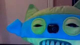 funyy fugler video!