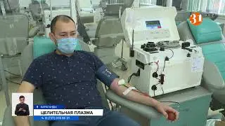 Нужна кровь! Помогает ли плазма вылечить COVID?