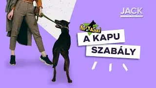 KutyaSuli - A kapu szabály - Jack Premium Dog Food
