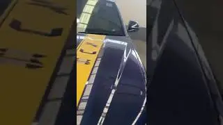 Pin Kli's $ 800K Lamborghini Urus #pinkli #lamborghiniurus #shorts