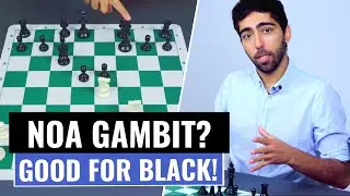 Итальянская партия | Ноа Гамбит | Игра четырёх коней | Шахматные дебюты | Алекс Астанех
