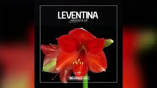 Leventina - Space Control