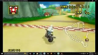 Mario Kart Wii Custom Character Vanillish