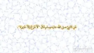 صحيح البخارى - كتاب العقيقة - 5474 - باب العتيرة