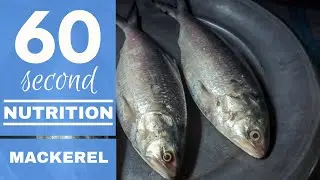 MACKEREL: THE OMEGA 3 POWERHOUSE