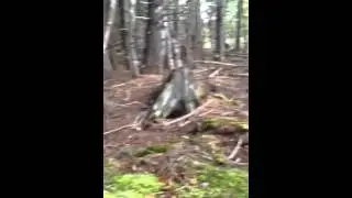 breathing earth