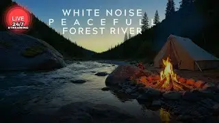 Rainy Day at the Creek - Warm Fire & Flowing Water | Nature Ambience | ASMR | LIVE