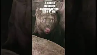 Я понял смысл жизни #мемы #русскаявизуальнаяновелла #sovietgames #бесконечноелето