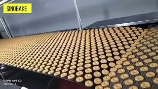Biscuit Cooling Conveyor,Stacker And Packing Table