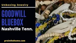 Goodwill Jewelry Blue Box Nashville Unboxing
