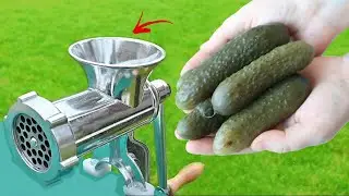 EXPERIMENT PICKLED CUCUMBER VS MEAT GRINDER