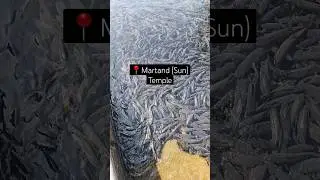 Martand (Sun) Temple in Kashmir 🛕  #suntemple #martand #kashmir #temple #yt #ytshorts #shortsvideo