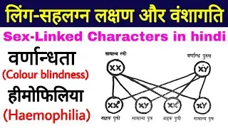 आनुवंशिक रोग वर्णांधता की वंशागति और हीमोफीलिया की वंशागति |varnandhta | haemophilia