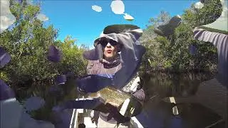 Salt Marsh Skiff 16 at Everglades Natl Park