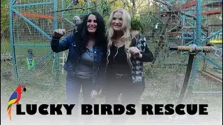 Boots & Heels Visit Lucky Birds Rescue